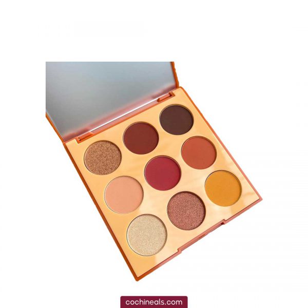 پالت سایه دسرت مورفی 9D PAINTED DESERT ARTISTRY PALETTE